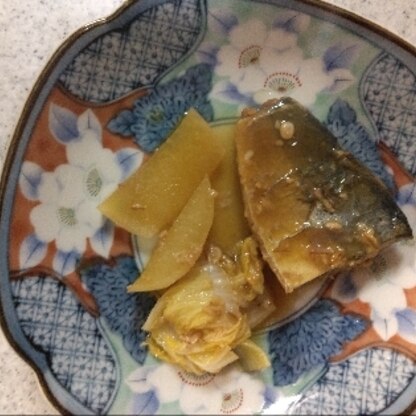 圧力を抜いた後、薄切り大根と白菜を一緒に煮ました。鯖も野菜もおいしくできました。